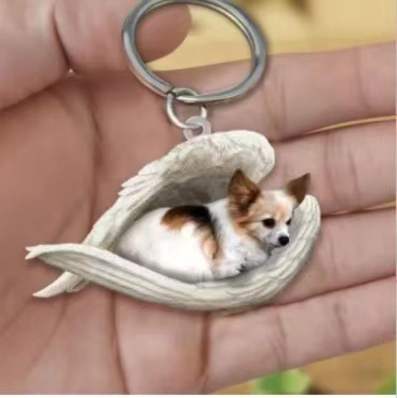 53149e0470ec74ed7562f8bfc19935c6