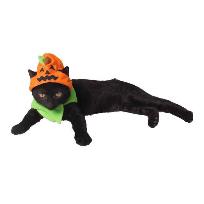 Halloween Pet Pumpkin Hat - trendenvioshop