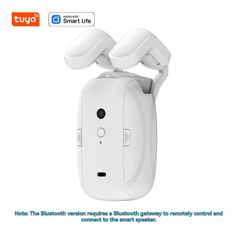 Electric Curtain Motor