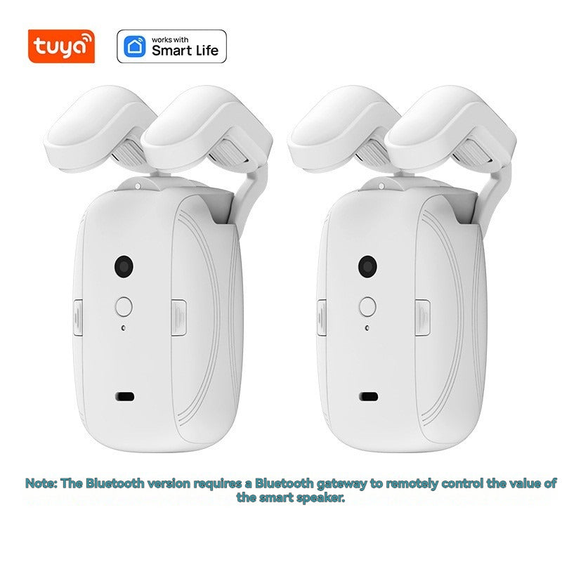 Electric Curtain Motor