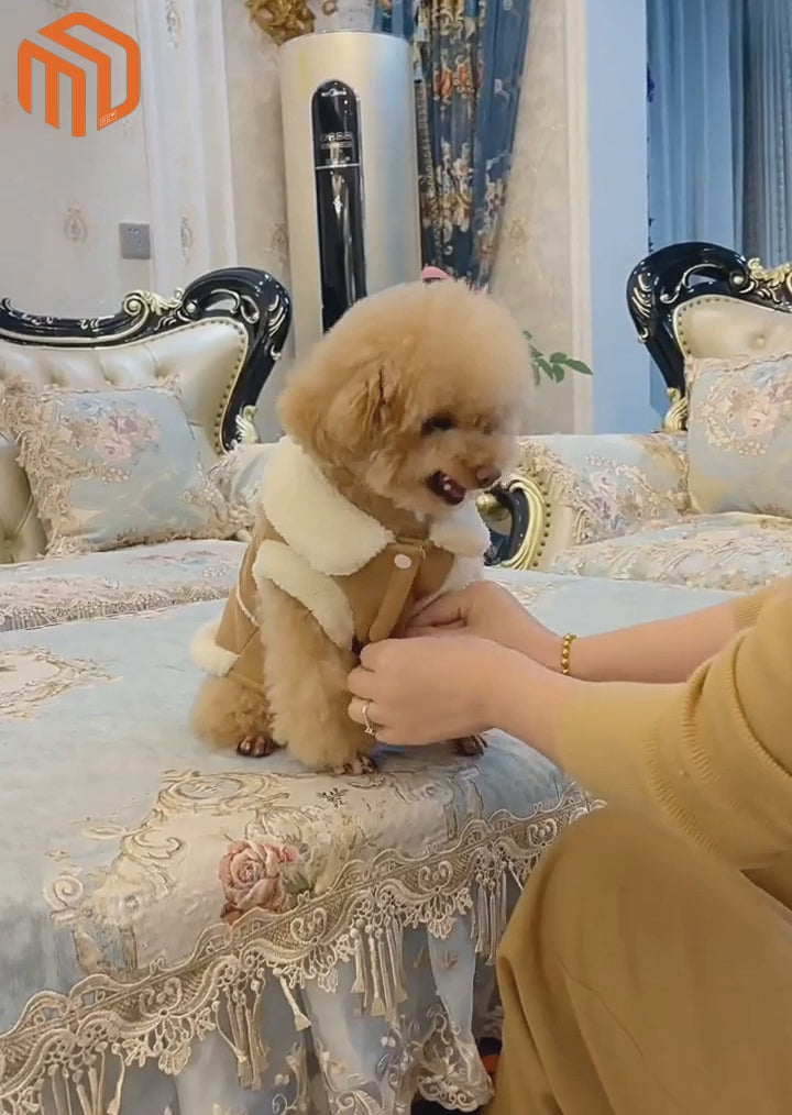 سترة تيدي دافئة للجذب