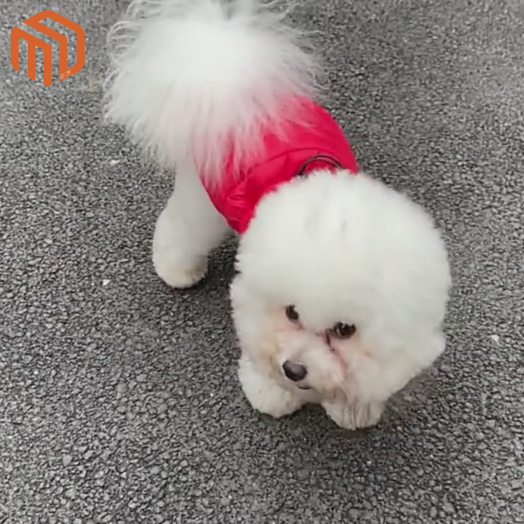 Warm Cotton Clothes And Pet Clothing