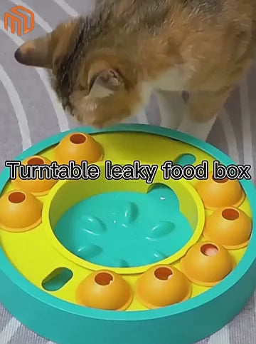 Pet Feeder Bowl