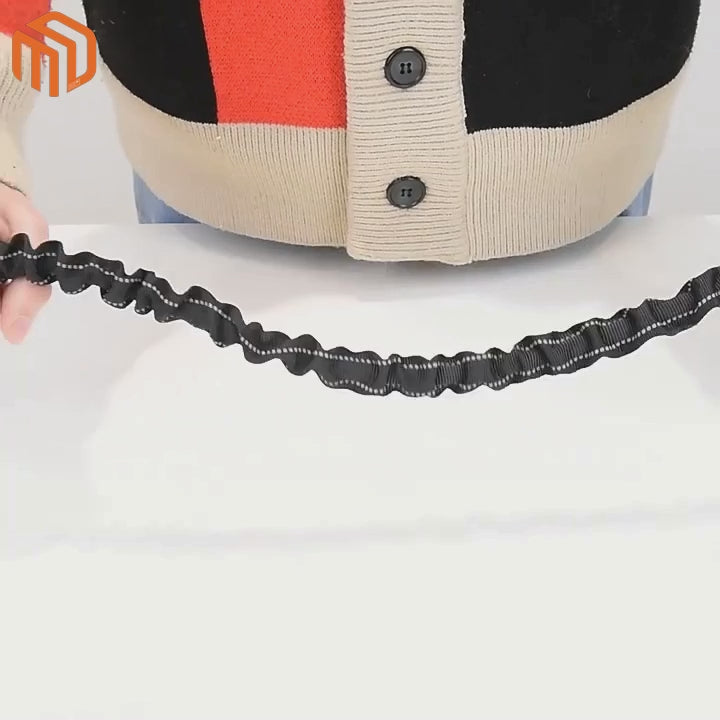 Pet Training Waist Bag