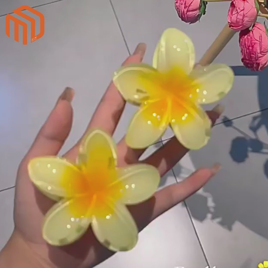 مخلب زهرة البيضة