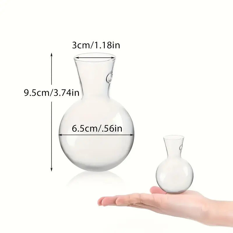 Wall-Mounted Transparent Vase